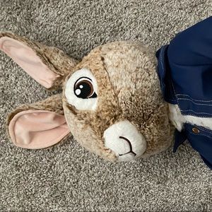 Peter rabbit party decor